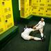 Skyline soccer players Carmen Flesher and Sydney Hutnik stretch in the locker room during the second weather delay of the game against Huron on Thursday, May 30. Daniel Brenner I AnnArbor.com